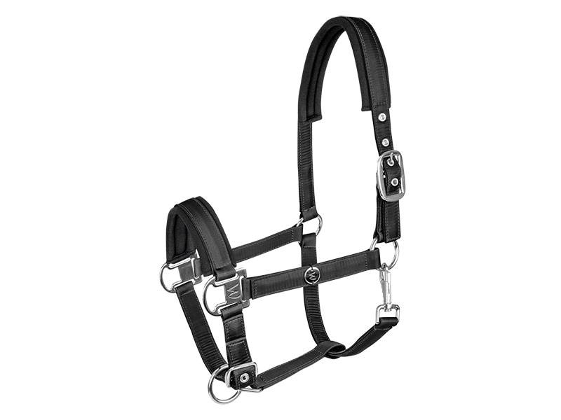 Halfter Nairobi, schwarz Halfter Nairobi, schwarz