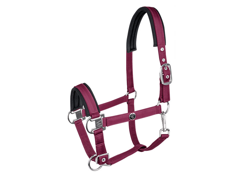 Halfter Nairobi, schwarz Halfter Nairobi, schwarz