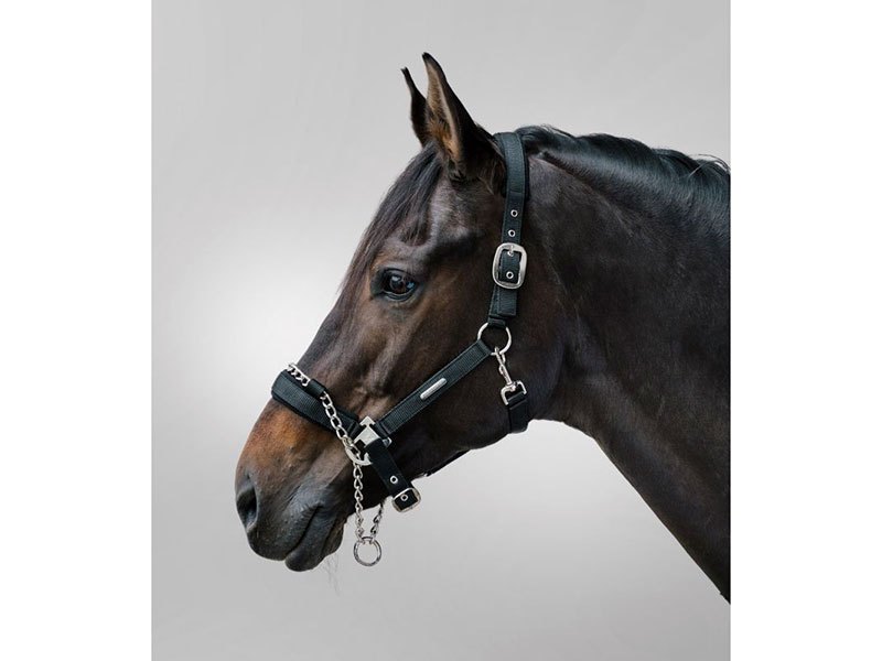 Halfter Pro Safety Halfter Pro Safety