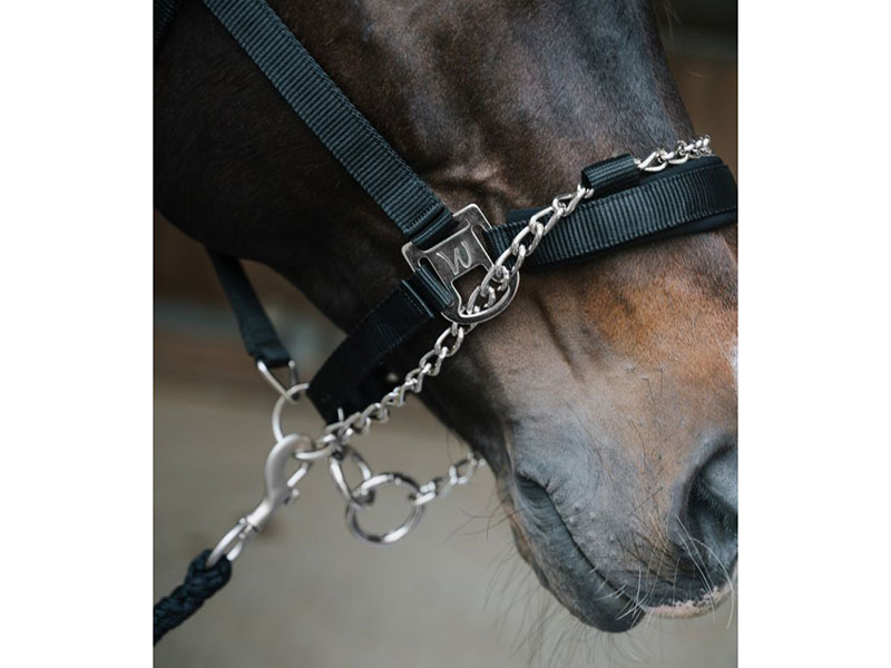 Halfter Pro Safety Halfter Pro Safety