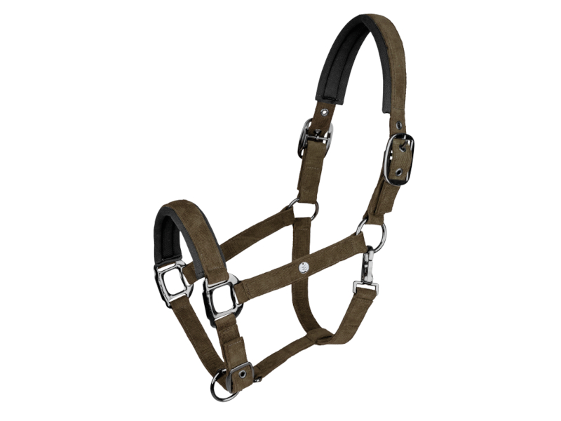 Halfter St. Gallen Cord