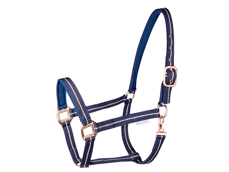 Stallhalfter blau rose