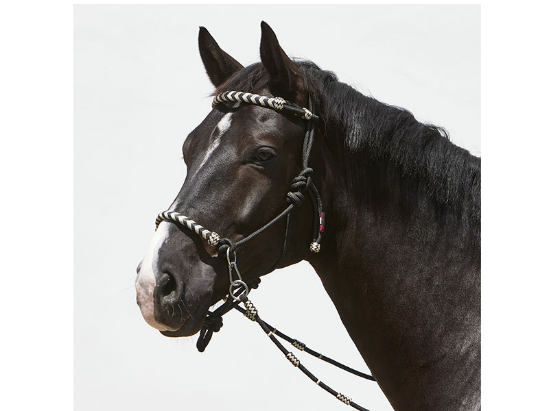 Knotenhalfter Enya von Kieffer