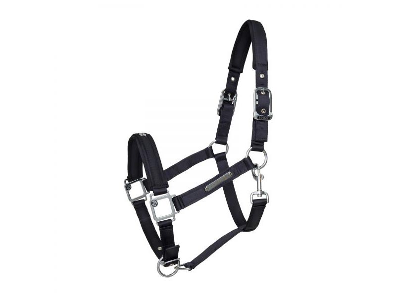 schwarzes Stallhalfter Satin