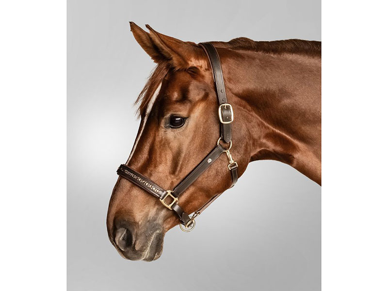 Waldhausen X-Line Lederhalfter Crystal Waldhausen X-Line Lederhalfter Crystal