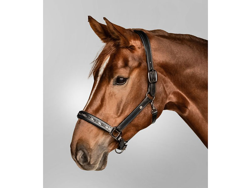 Waldhausen X-Line Lederhalfter Crystal Waldhausen X-Line Lederhalfter Crystal