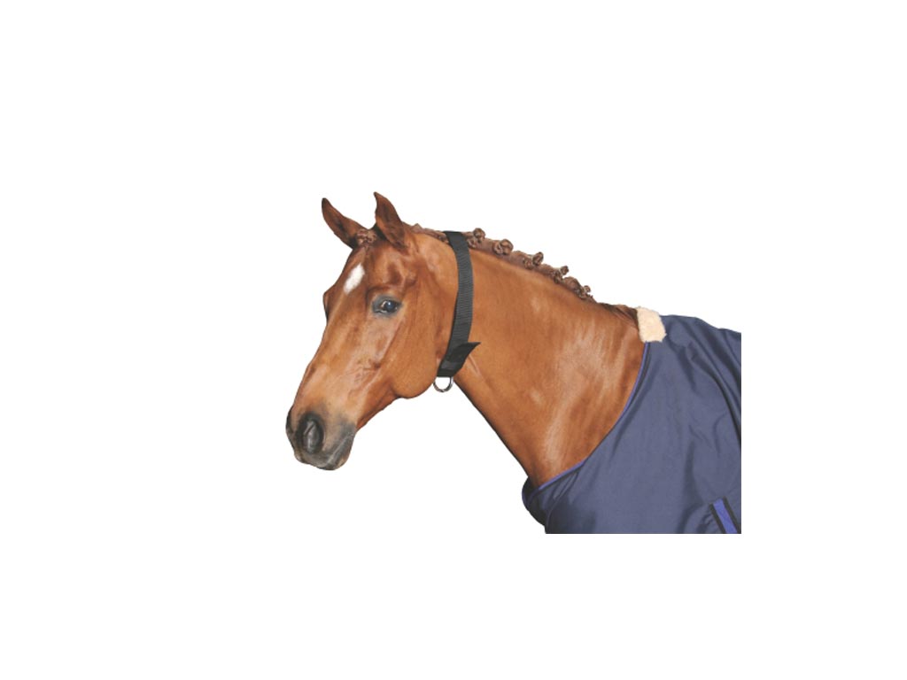 Halsriemen Halsriemen