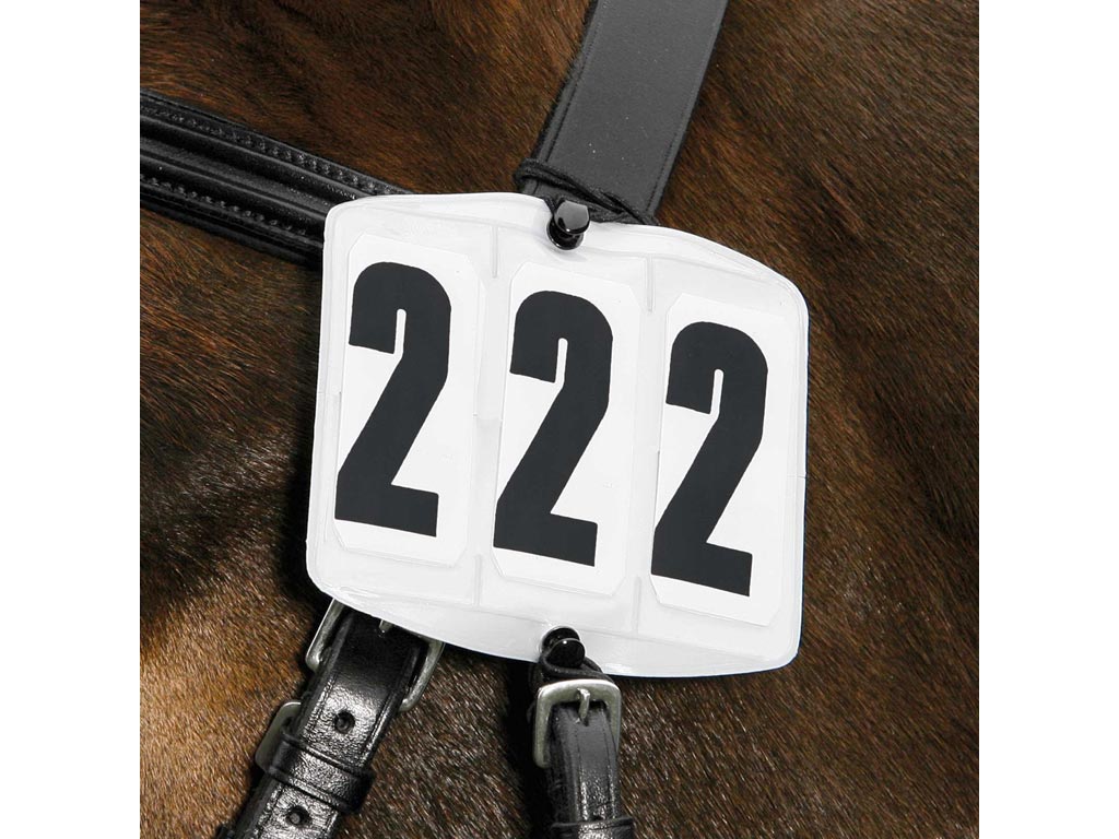 Braunes Pferd mit schwarz-weißer Startnummer am Kopfstück