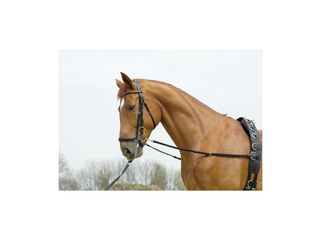 Ausbindezügel *BASIC-STARR* ab Shetty Ausbindezügel *BASIC-STARR* ab Shetty