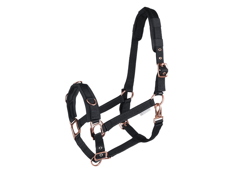 LONGIERHALFTER ROSÉ