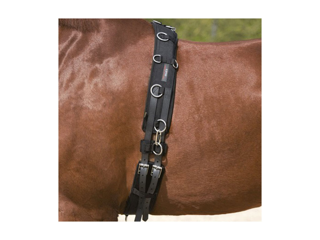schwarzer Longiergurt 