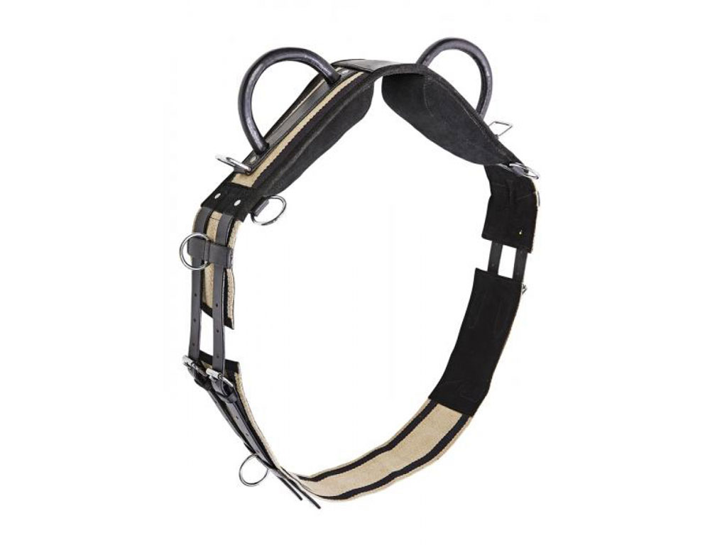 Longiergurt schwarz -beige