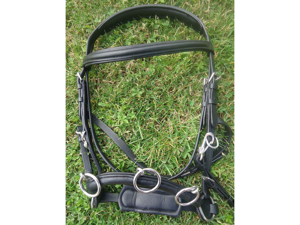 Kappzaum / Caveson jetzt von Mini-Shetty bis XXL