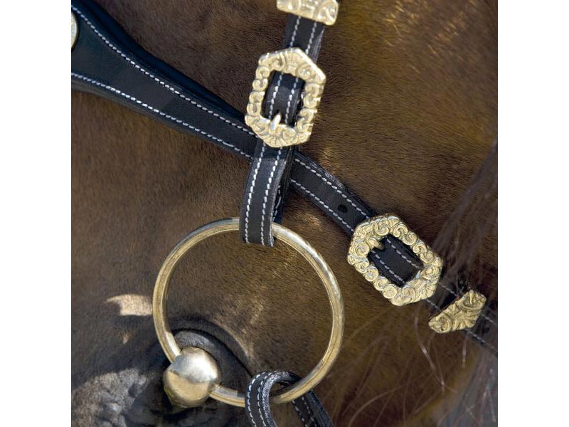 Kieffer *Isabella 326* Kieffer *Isabella 326*