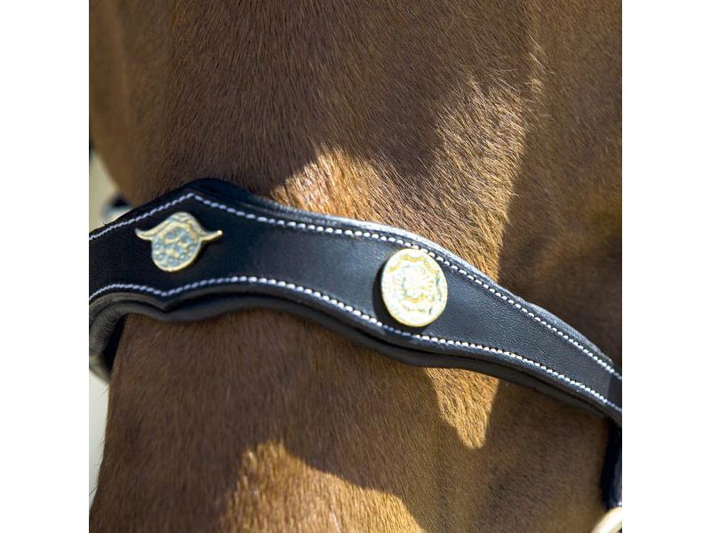 Kieffer *Isabella 326* Kieffer *Isabella 326*