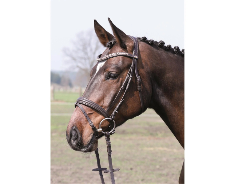 Trense *Mechtersen* braun