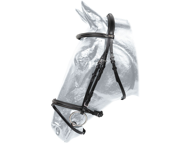 schwarze Trense Kopfstück