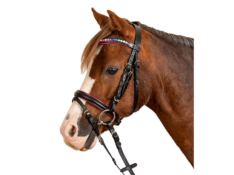 STAR Trensenzaum Pinky STAR Trensenzaum Pinky