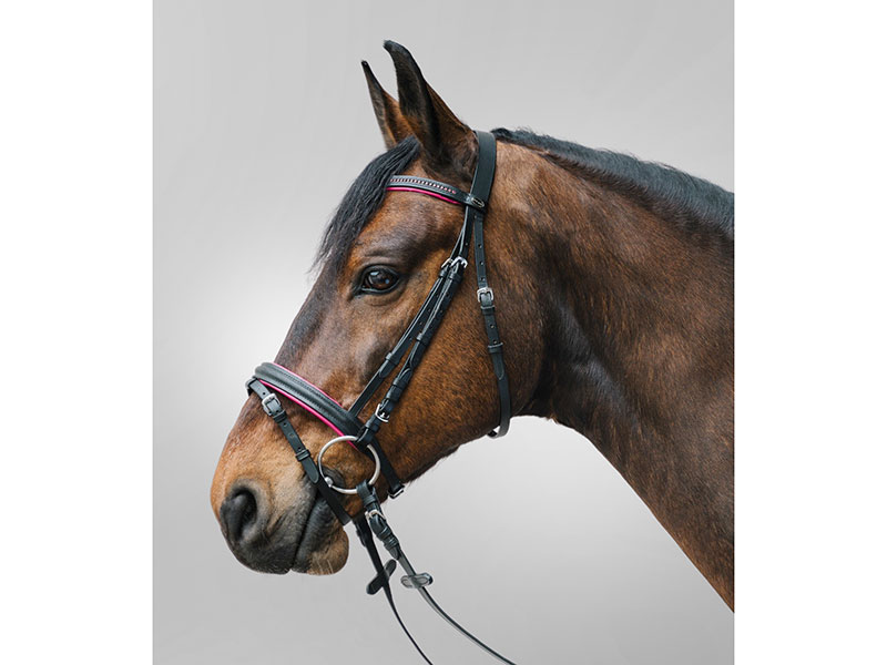 STAR Trensenzaum Diamond STAR Trensenzaum Diamond