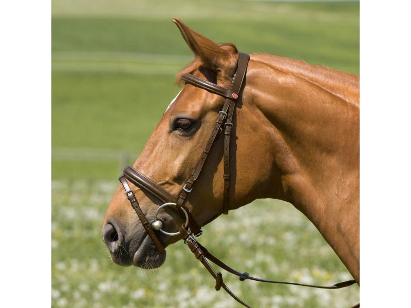 Kieffer Kaltbluttrense *Belinda 216* schwarz Kieffer Kaltbluttrense *Belinda 216* schwarz