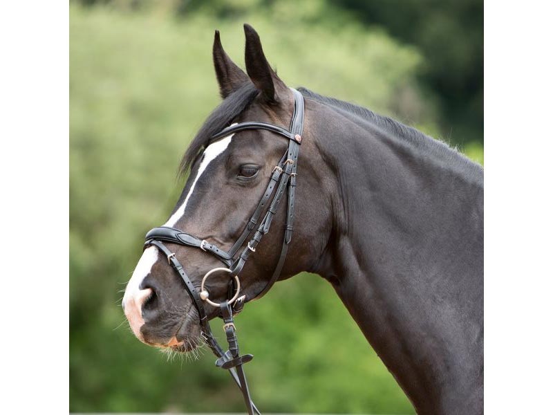Kieffer Trensenzaum *Katy 3126* Kieffer Trensenzaum *Katy 3126*