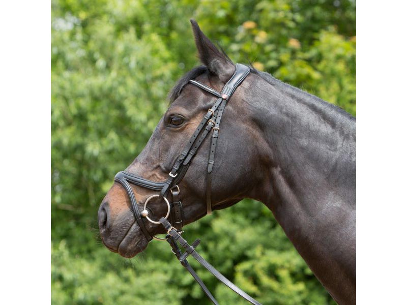 Kieffer Trensenzaum *Tara 3127*