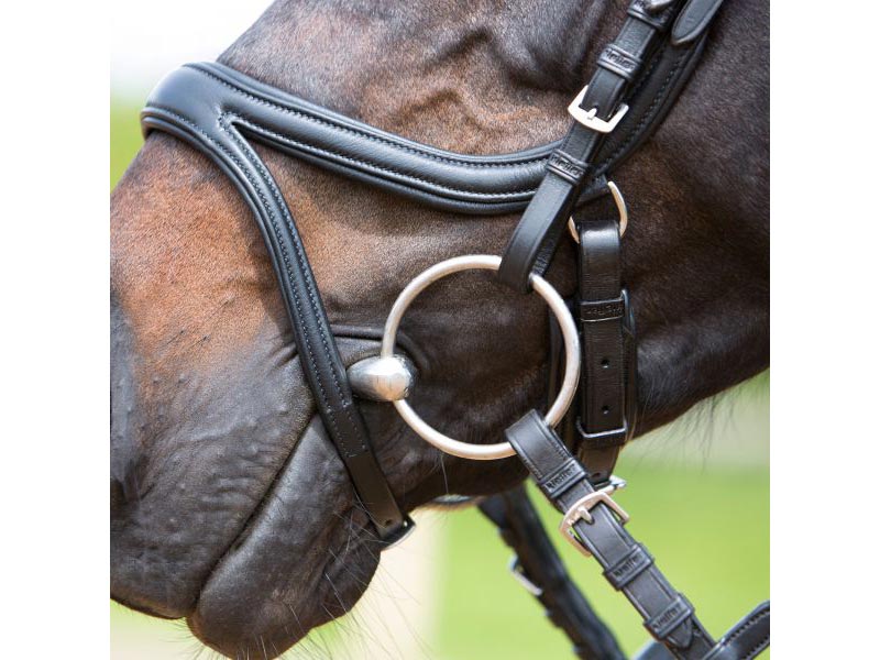 Kieffer Trensenzaum *Tara 3127* Kieffer Trensenzaum *Tara 3127*