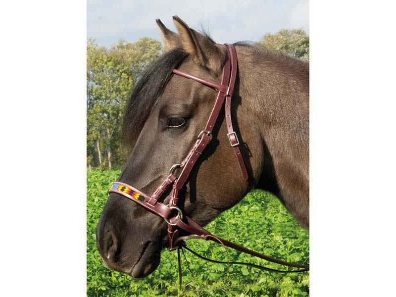 Sidepull Indian Spirit Western VB