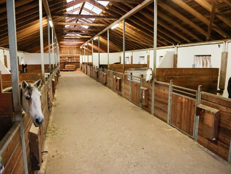 IPCam 360 FHD Compact Kamera IPCam 360 FHD Compact Kamera