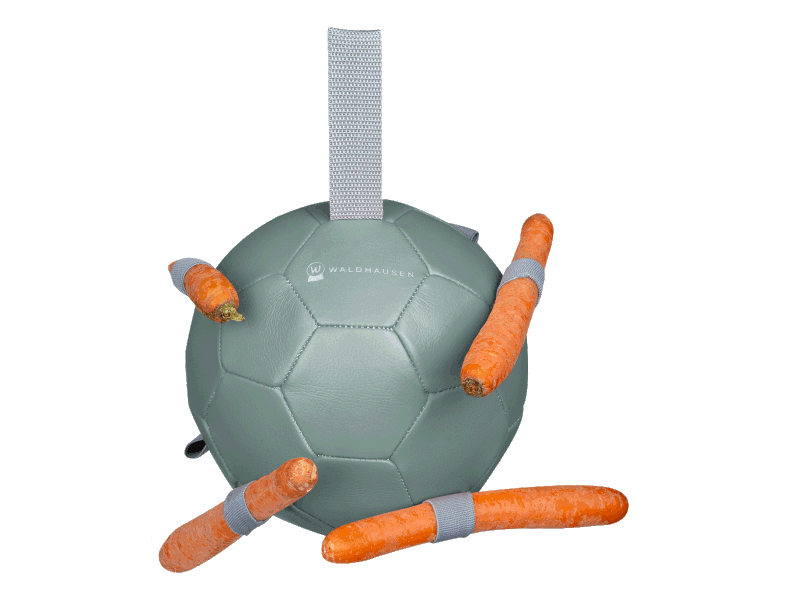 Karottenball Pferdespielzeug