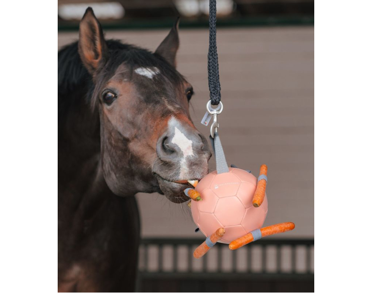 Karottenball Pferdespielzeug Karottenball Pferdespielzeug