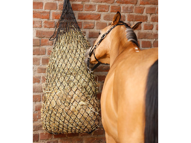 braunes Pferd frisst aus schwarzem Heunetz