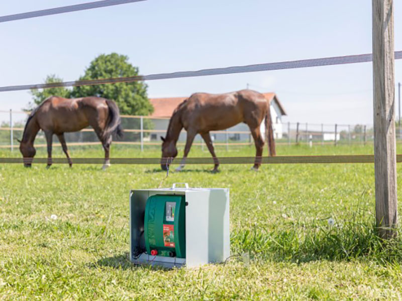 Weide mit Weidezaungerät