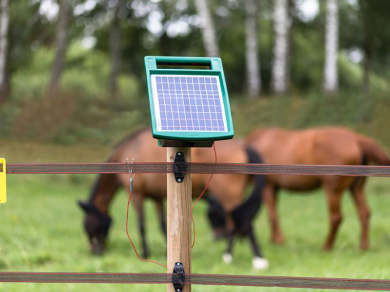 AKO Sun Power S 1000 Weidezaungerät auf Weide mit Pferden