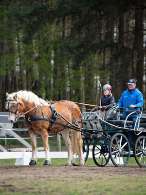 Carolin und Stefan Veh auf einer Kutsche