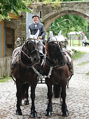Stefan Veh im Anzug auf einer Kutsche mit zwei Pferden im Gespann